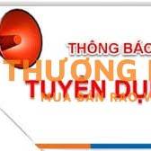 Tuyển dụng Chuyên viên (kiêm nhiệm giáo viên hướng dẫn thực hành)