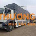 Tuyển gấp Tài xế xe tải Dấu C,có sức khỏe,làm việc tại KCN Vĩnh Lộc