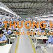 20 công nhân may tại Xuân Thới Sơn, Hóc Môn cũ