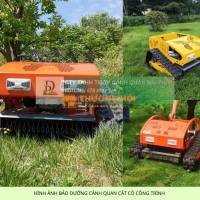 Cắt Cỏ Phát Hoang Giá Rẻ, Chuyên Nghiệp Đồng Nai, TPHCM, Bình Dương, Long An