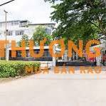 LÁI XE TẢI - PHỤ XE BỐC XẾP TẢI GIAO HÀNG SP NHỰA GIA DỤNG