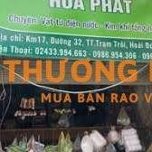 Tuyển 2 lái xe Trạm Trôi đi làm luôn