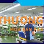 CÔNG VIỆC LÃNH LƯƠNG TUẦN TẠI CÔNG TY HYOSUNG