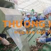 ĐÓNG GÓI-PHÂN LOẠI HẠT ĐIỀU