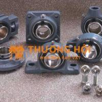 Gối Bi Bền Bỉ, Chính Xác – Giải Pháp Truyền Động