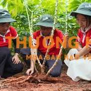 2 Nhân viên kỹ thuật tại Giang Thành và Chợ Mới