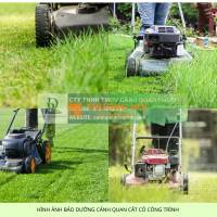 Dịch Vụ Chăm Sóc Cây Xanh Nội Thất & Ngoại Thất Tại TP.HCM