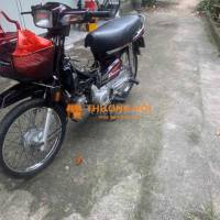 Honda Super Dream 99 Nâu đỏ
