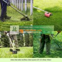 Dịch Vụ Cắt Cỏ Bằng Dây Cước – Nhanh, Sạch, An Toàn