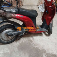 Xe đạp điện màu Đỏ Hư hỏng