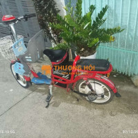 Xe đap đien như hinh