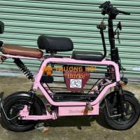 xe điện như hinh chạy ok pin khỏe