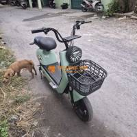 Xe đạp điện Xanh bạc hà