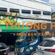 TUYỂN 10 CÔNG NHÂN NAM PHỤ DÓNG TRÁI CÂY