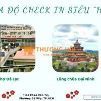 Du xuân cao nguyên – Check-in Tết cực “HOT”