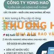 CTY GIÀY , ỨNG LƯƠNG TUẦN , SÓNG THẦN 3