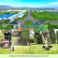 DỊCH VỤ CẮT CỎ KCN CHÂU ĐỨC BÀ RỊA VŨNG TÀU