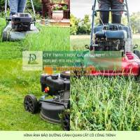 CẮT CỎ PHÁT HOANG ĐỒNG NAI CHO CÔNG TRÌNH – NHÀ MÁY – NHÀ XƯỞNG