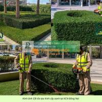 Dịch vụ cắt cỏ – cắt tỉa cây xanh định kỳ giá rẻ KCN Long Đức, Đồng Nai