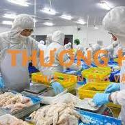 XKLD Đài Loan đơn hàng chế biến thực phẩm cần 5 nữ