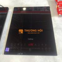 Bếp từ đơn âm TK 209I TaKing, thiết kế nhỏ gọn, tinh tế