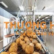 Cần tuyển công nhân sản xuất thạch dừa làm việc tại TP Bến Tre.