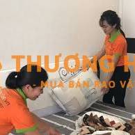 TUYỂN GẤP 5 CÔNG NHÂN LAU DỌN NHÀ & VĂN PHÒNG