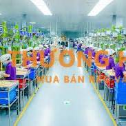 Công nhân chính thức tại Luxshare Nghệ An