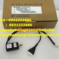 Động cơ servo Yaskawa SGMM-A1C313 giá siêu ưu đãi