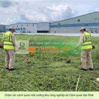 DỊCH VỤ CẮT CỎ – VỆ SINH CẢNH QUAN KCN AMATA, KCN BIÊN HÒA ĐỒNG NAI