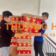 tuyển thời vụ bốc xếp cty yuxin