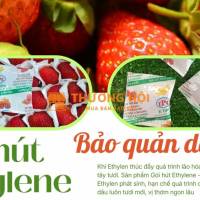 Gói Hút Khí Ethylen Bảo Quản Dâu Tươi Lâu Chín