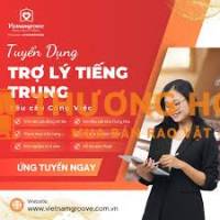 [TUYỂN DỤNG] TRỢ LÝ TIẾNG TRUNG