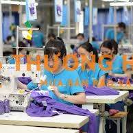 CẦN 50 CÔNG NHÂN MAY TẠI BÌNH TÂN