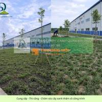 thi công cây xanh công trình – chăm sóc thảm cỏ khu công nghiệp tại Đồng Nai