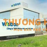 Lao động thời vụ và chính thức