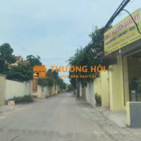 Bán đất Hoa Hậu thôn xuân lễ, Kim Anh