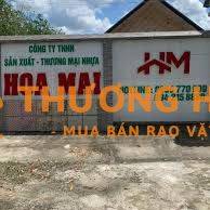 NHỰA HOA MAI TUYỂN DỤNG