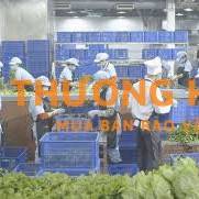 [ĐÀ NẴNG] TUYỂN PHỤ KHO SƠ CHẾ BHX TĂNG CA 40K/H