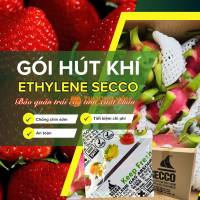 Bảo Quản Trái Cây Chống Chín Sớm - Gói Hút Khí Ethylene Secco 5gam