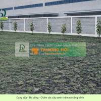 Cung cấp cây xanh thảm cỏ trọn gói công ty nhà xưởng nhà máy