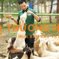 [Lâm Đồng] Nhân Viên Chăm Sóc Thú ZooDoo- Bao Ăn Ở