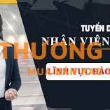 Tuyển nhân viên tư vấn ngành đào tạo lái xe ô tô