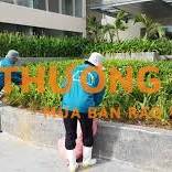 NHÂN VIÊN CHĂM SÓC CẢNH QUAN