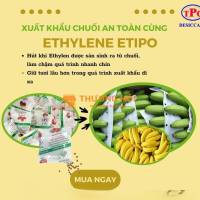 Vì sao nông sản xuất khẩu nên dùng gói hút ẩm?