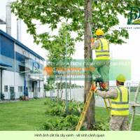 DỊCH VỤ CHĂM SÓC CÂY XANH ĐỊNH KỲ CHO CÔNG TY – NHÀ XƯỞNG (2–3 LẦN/TUẦN)