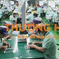 XKLD Nhật Bản đơn hàng lắp ráp linh kiện điện tử