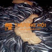 Đơn hàng kỹ sư chăn nuôi Nhật Bản