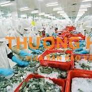 Đơn hàng chế biến thuỷ sản Nhật Bản cần 30 nam nữ