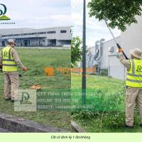 DỊCH VỤ CẮT CỎ, CHĂM SÓC CỎ CẢNH QUAN KCN NHƠN TRẠCH ĐỒNG NAI